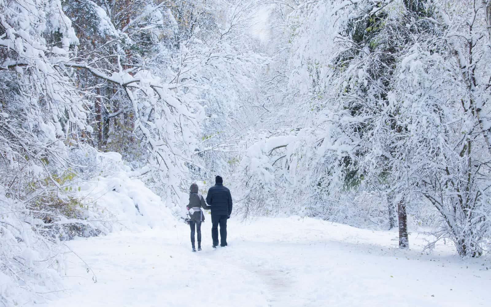 A couple walking along a snowy woodland path