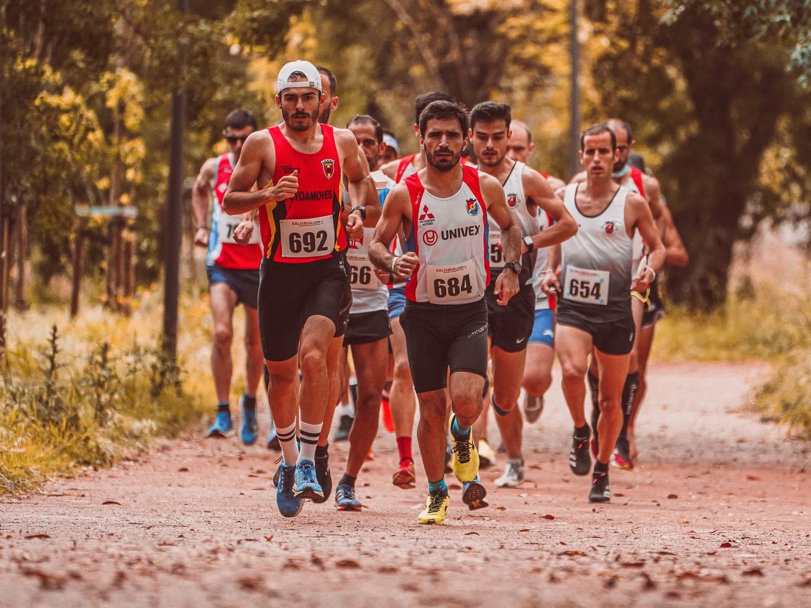 Runners in a race on an autumn trail