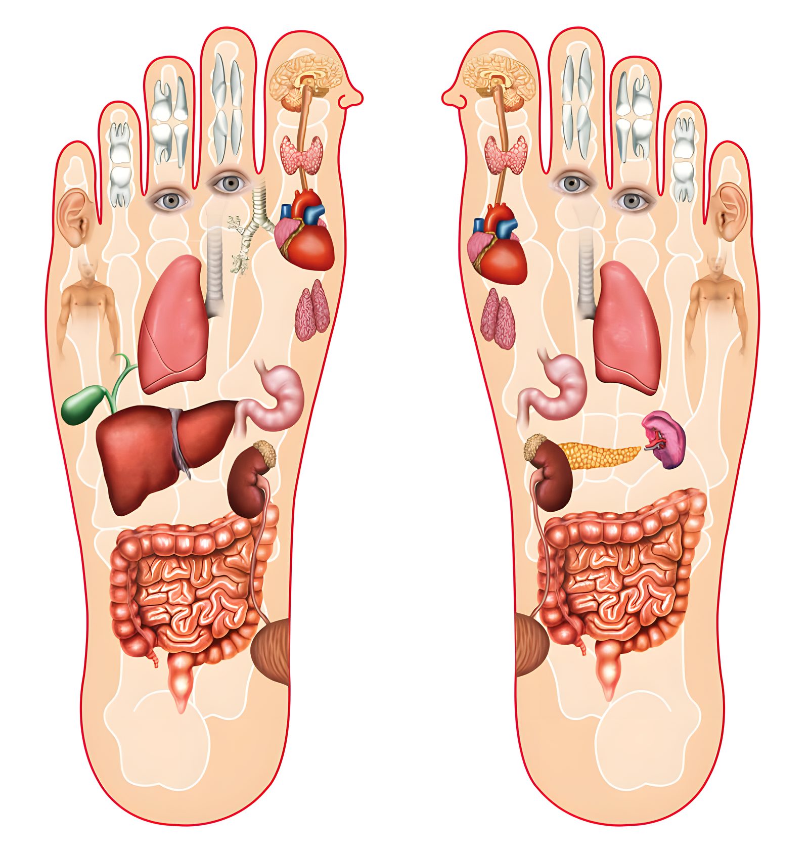 Reflexology